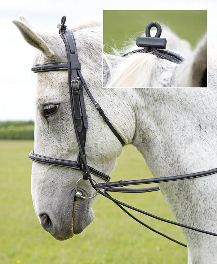 ARMA Elastic Training Rein