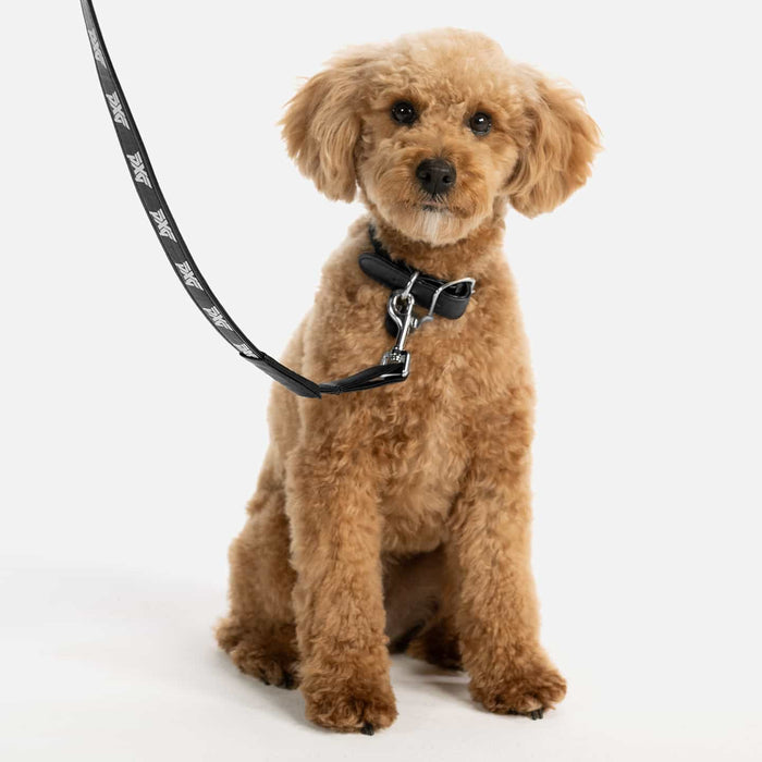 PXG black eco leather pet leash with a repeating white pxg logo on a white background