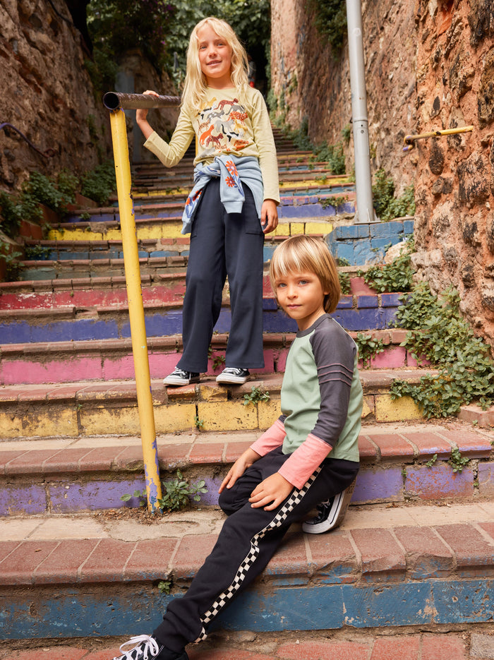 Explorer Colorblock Raglan Top