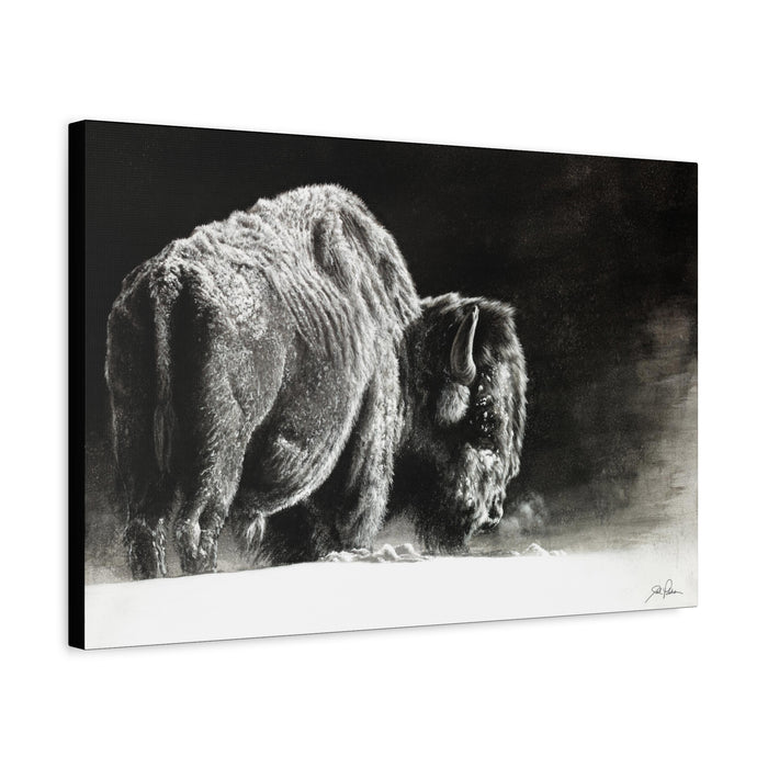 "Frosty" Stretched Canvas