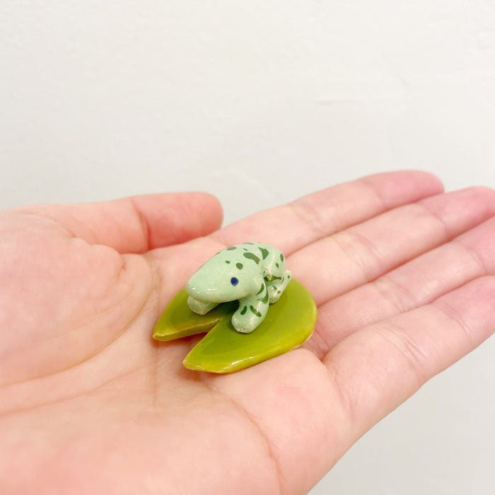 IK Tiny Frog & Lily Sets