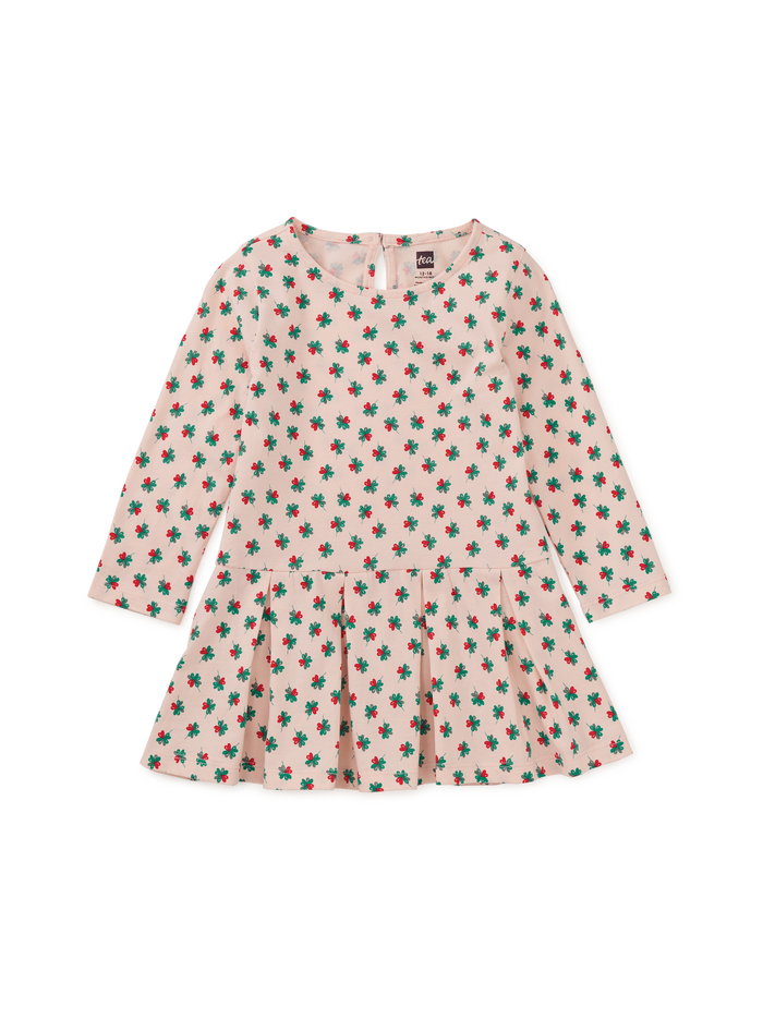 Long Sleeve Pleated Skater Dre