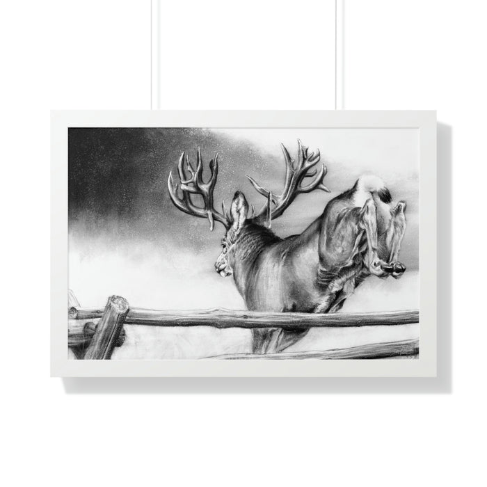 30" x 20" / White