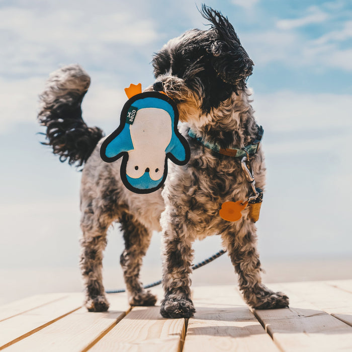 Plush Penguin Dog Toy