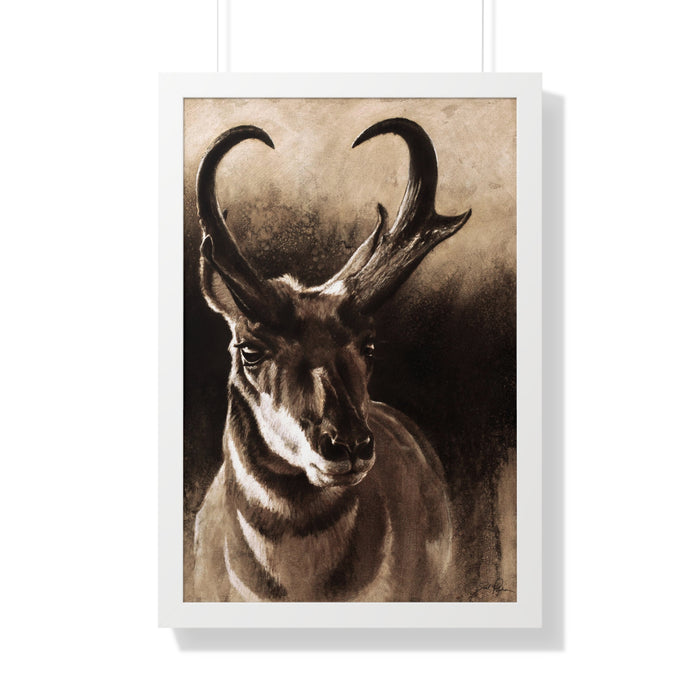 20" x 30" / White