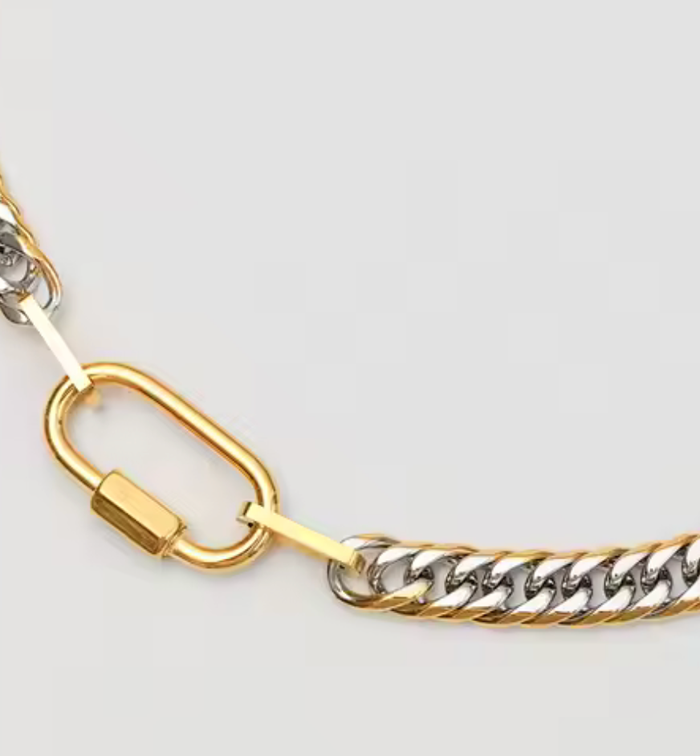 Abby Carabiner Stainless Steel Necklace