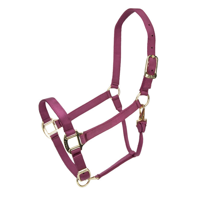 ARMA Adjustable Nylon Halter