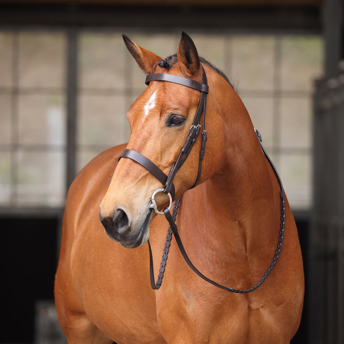 Avignon Middleburg Bridle