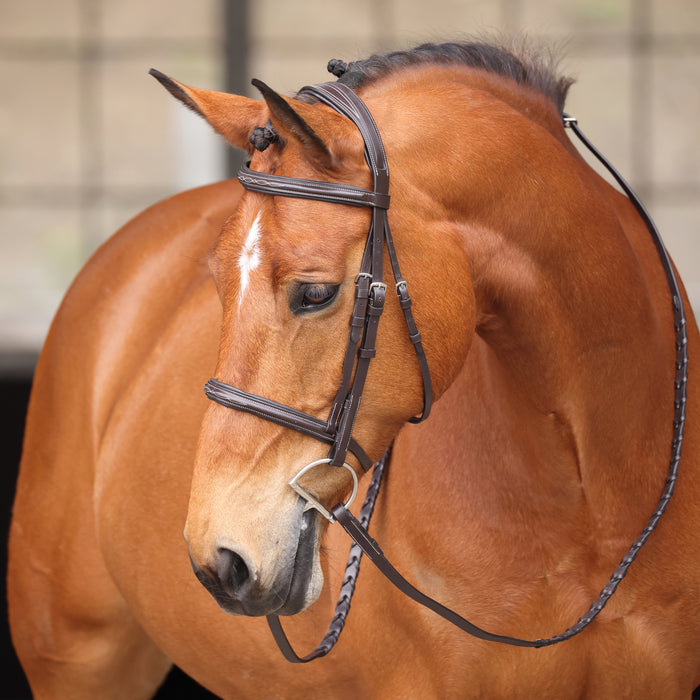 Avignon Nashville Bridle