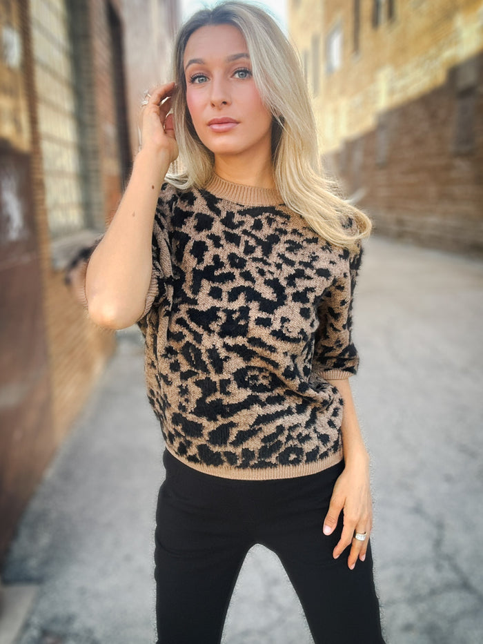 Charlie B Spot On Sweater