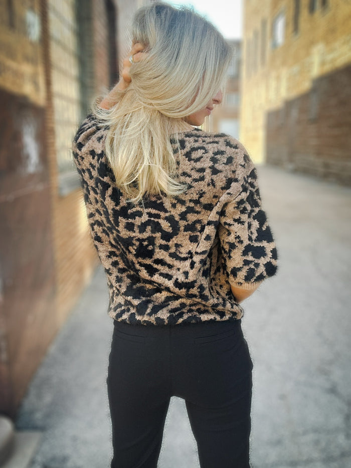 Charlie B Spot On Sweater