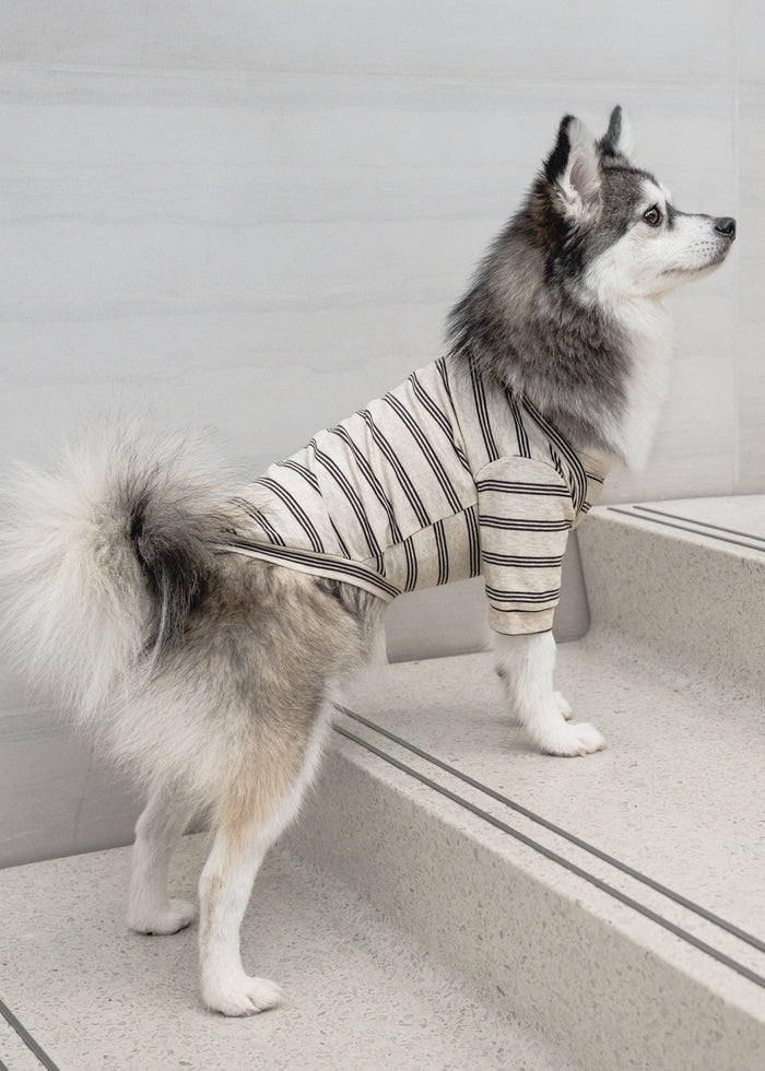 Lambwolf Collective - Chelsea Dog Tee - Earth - XL
