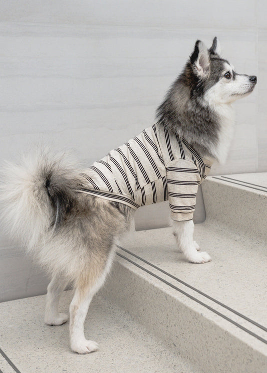 Lambwolf Collective - Chelsea Dog Tee - Earth - XL