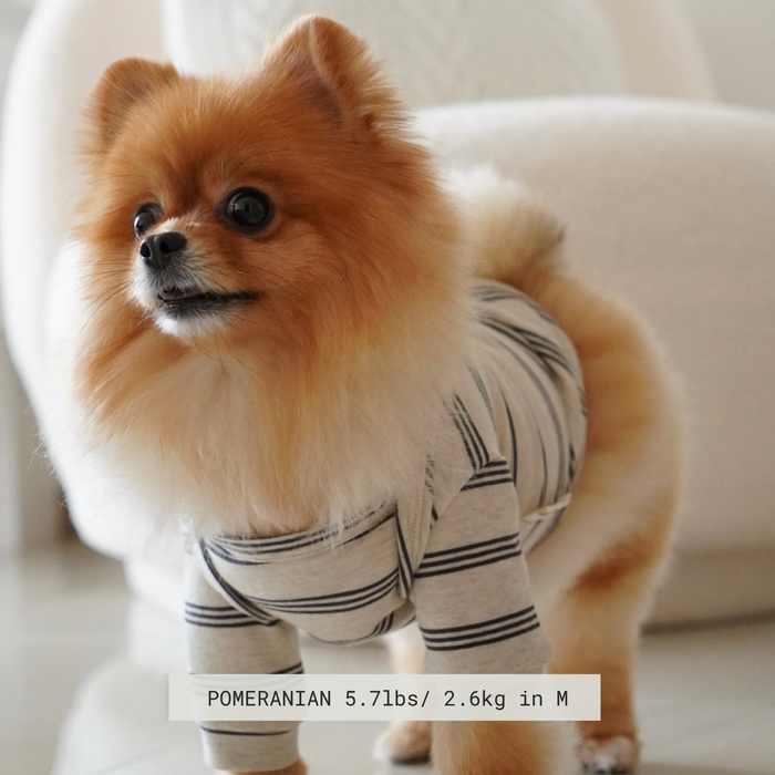 Lambwolf Collective - Chelsea Dog Tee - Earth -