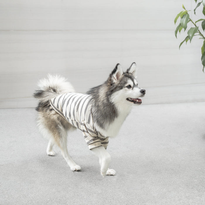 Lambwolf Collective - Chelsea Dog Tee - Earth -