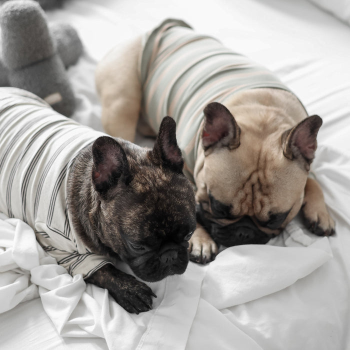 Lambwolf Collective - Chelsea Dog Tee - Earth -