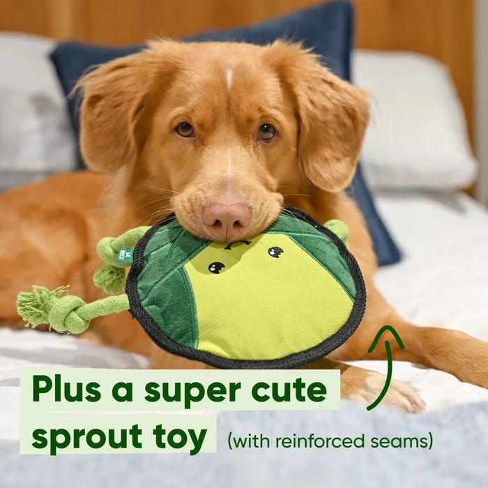 Clean-up & Play Starter Kit