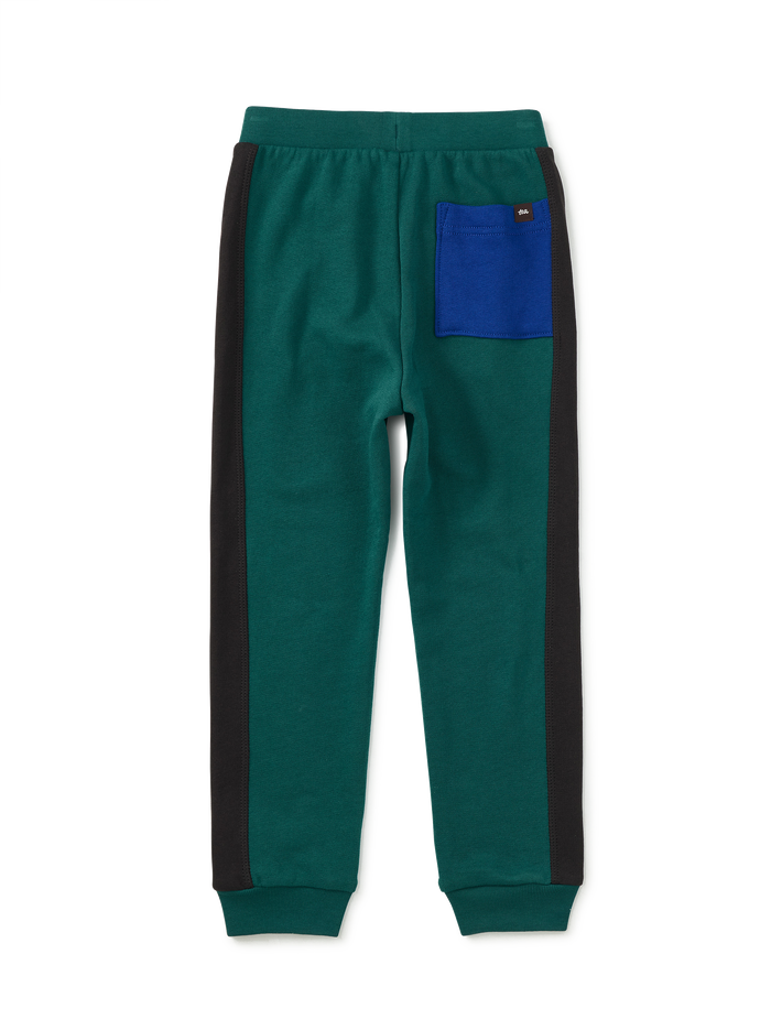 Colorblock Stripe-Out Joggers