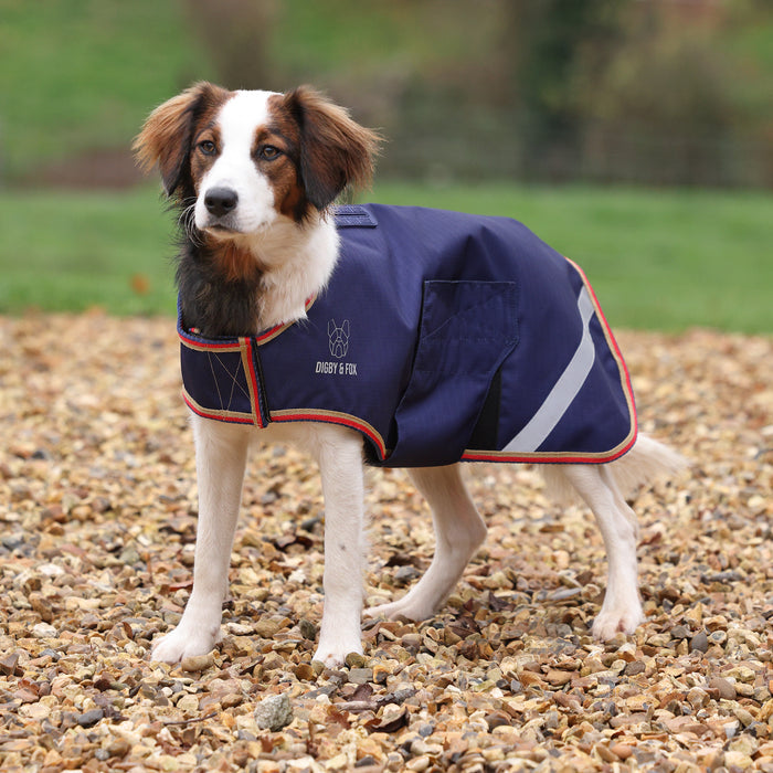 Digby & Fox Lite Waterproof Dog Coat