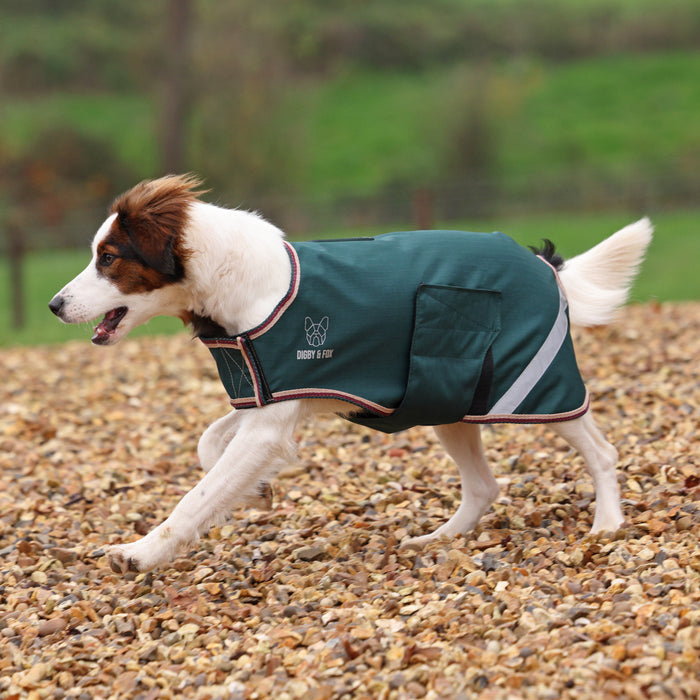 Digby & Fox Lite Waterproof Dog Coat