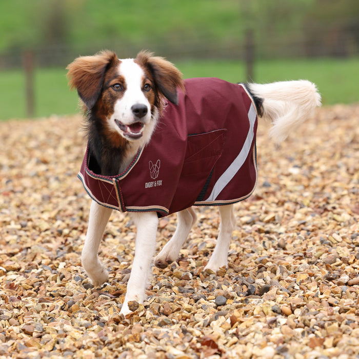 Digby & Fox Lite Waterproof Dog Coat