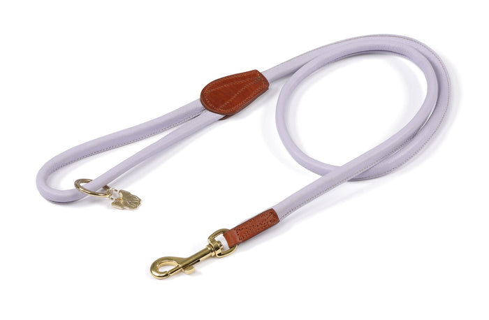 Digby & Fox Rolled Leather Dog Lead