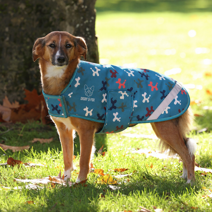 Digby & Fox Waterproof Dog Coat