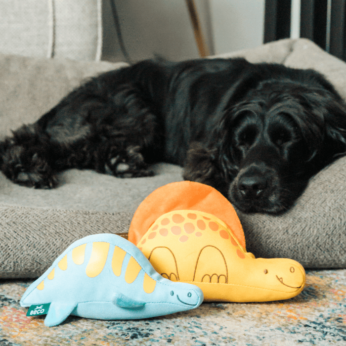 Dimetrodon Dinosaur Dog Toy