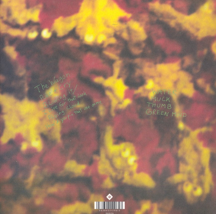 Dinosaur Jr (2013, UK Press)