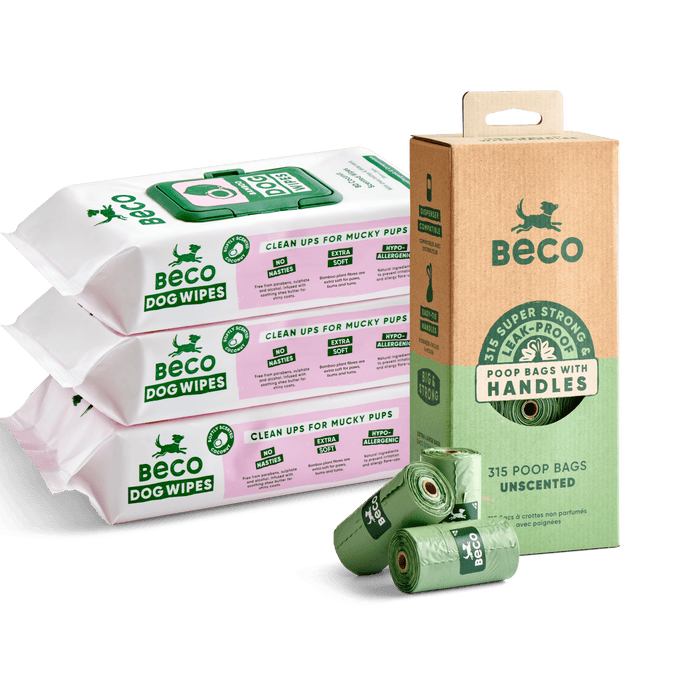 Dog Essentials Bundle