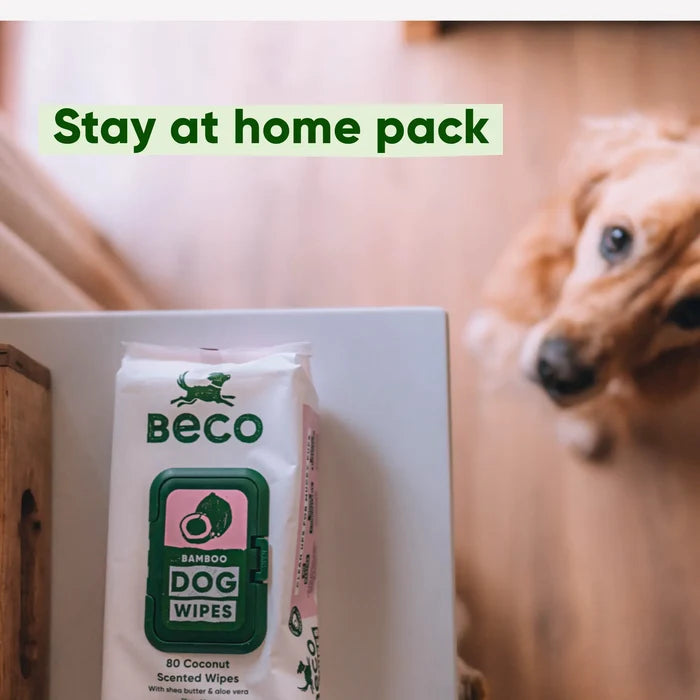 Dog Essentials Bundle