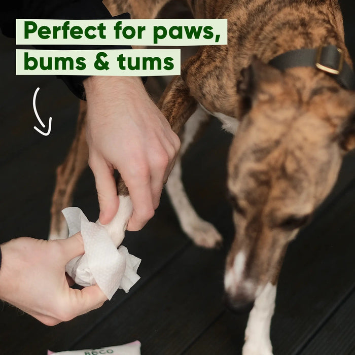 Dog Essentials Bundle