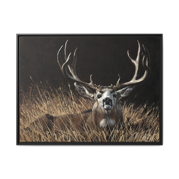 "Eye Contact" Framed Canvas