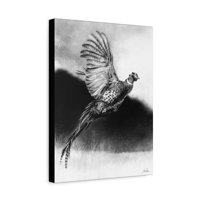 "Flushed" Stretched Canvas