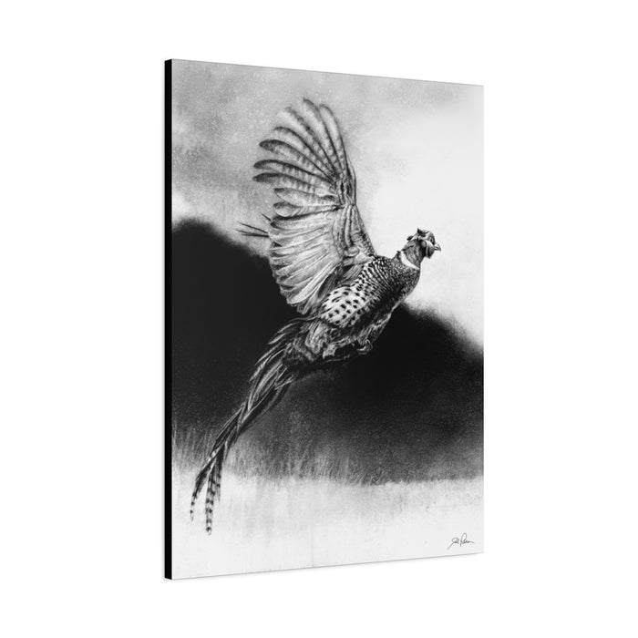 "Flushed" Stretched Canvas