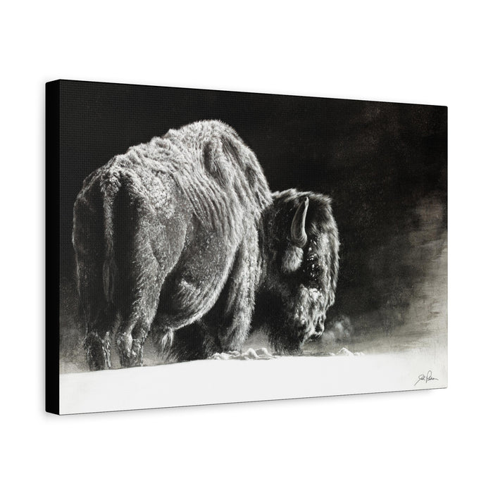 "Frosty" Stretched Canvas