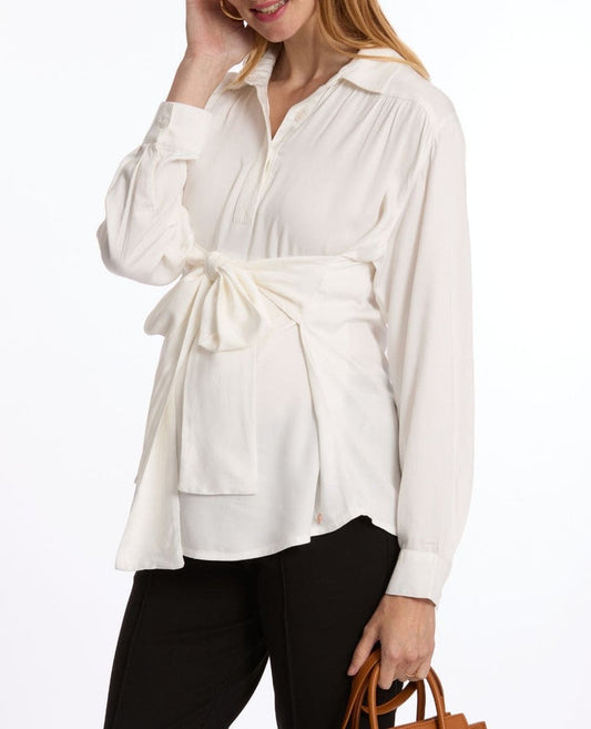 Harry Maternity and Nursing Blouse