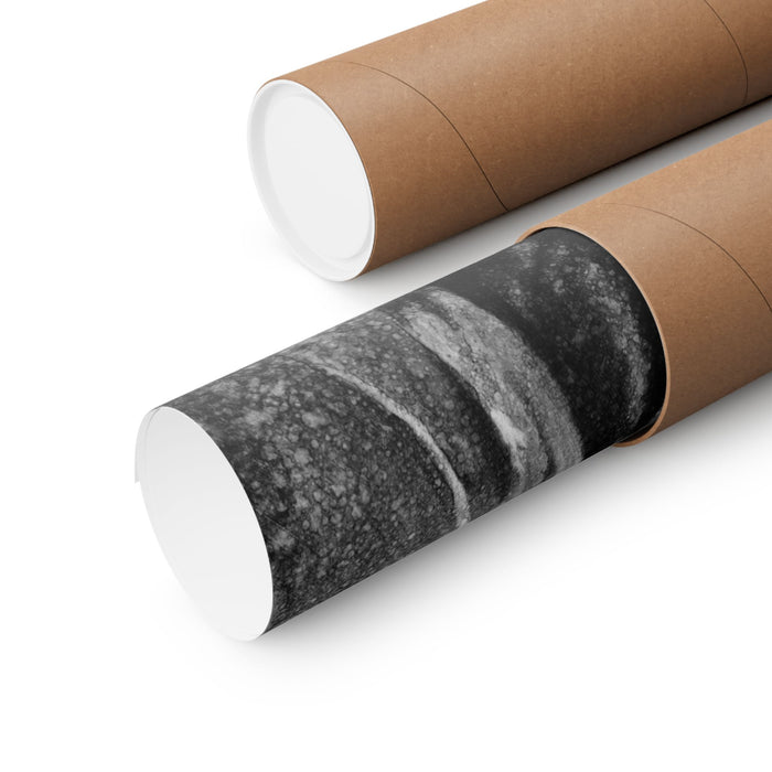"Holstein" Premium Matte Paper Print