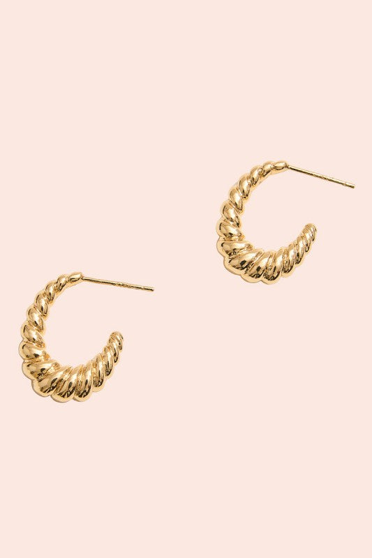 Hoop Dreams Earrings