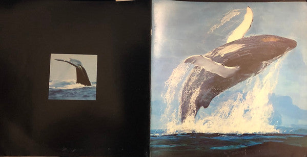 Humpback Whale - Songs Of The Humpback Whale (LP) [US] 1st (Very Good Plus (VG+))
