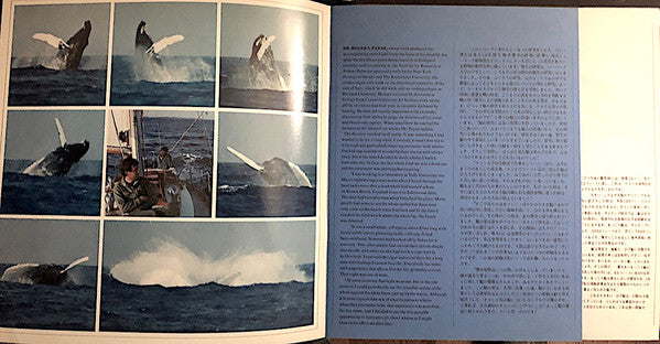 Humpback Whale - Songs Of The Humpback Whale (LP) [US] 1st (Very Good Plus (VG+))