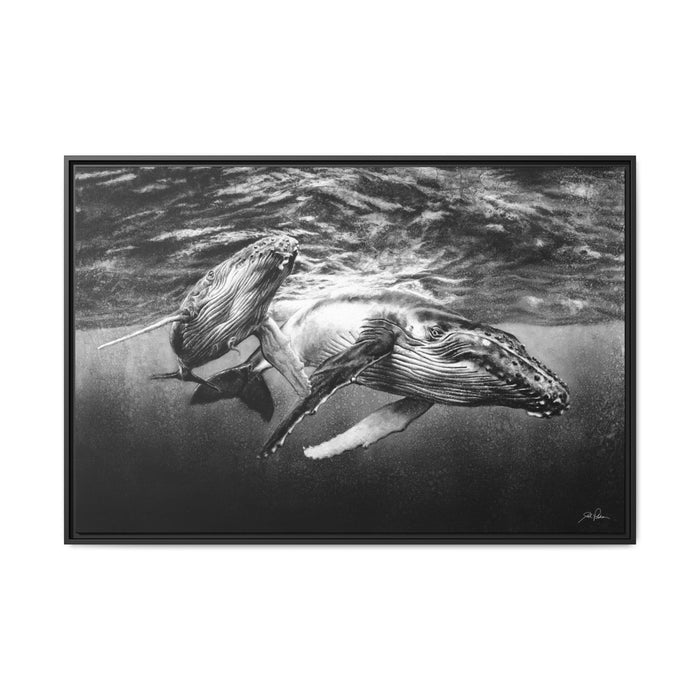 "Humpback Whales" Framed Canvas