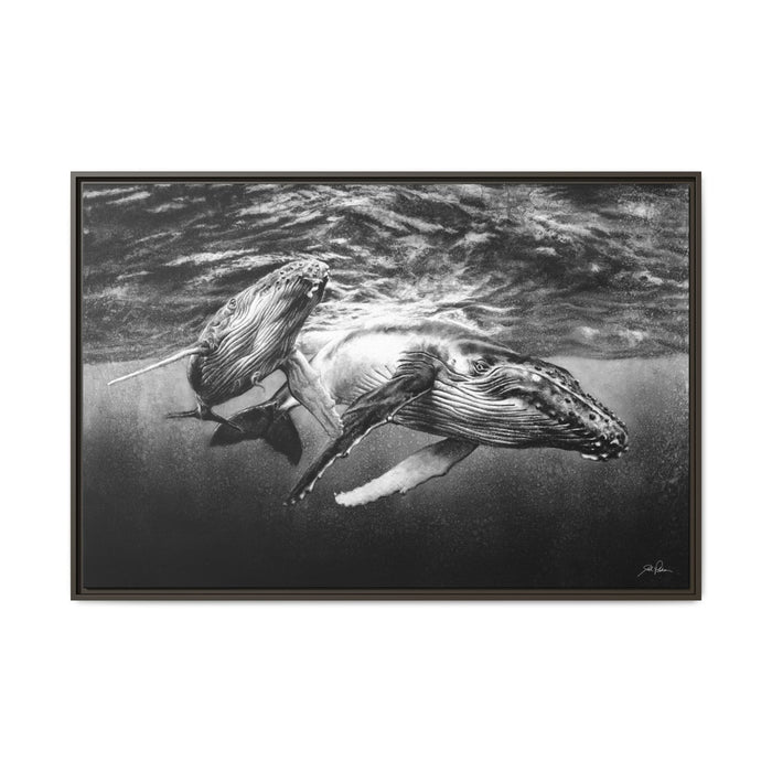 "Humpback Whales" Framed Canvas
