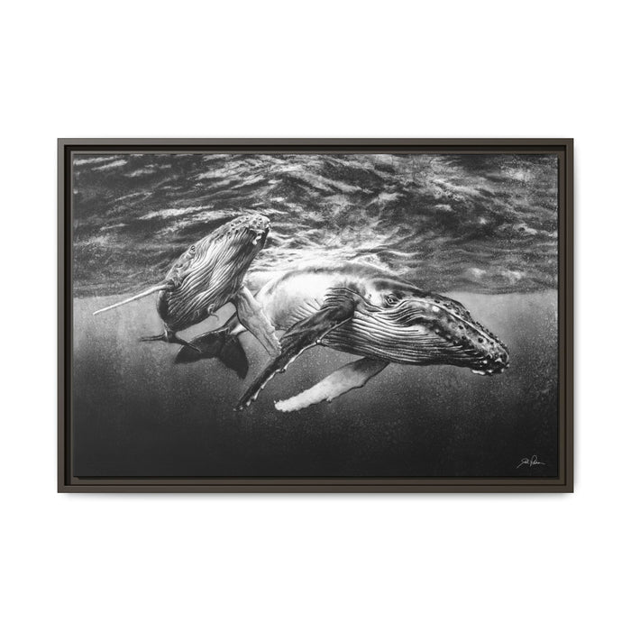 "Humpback Whales" Framed Canvas