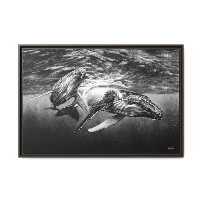 "Humpback Whales" Framed Canvas