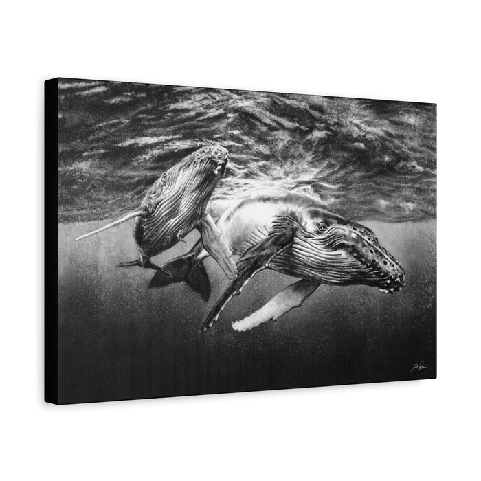 "Humpback Whales" Stretched Canvas