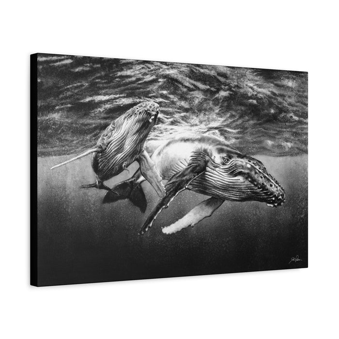 "Humpback Whales" Stretched Canvas