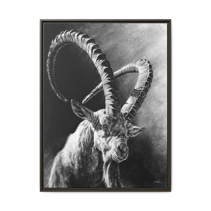 "Ibex" Framed Canvas