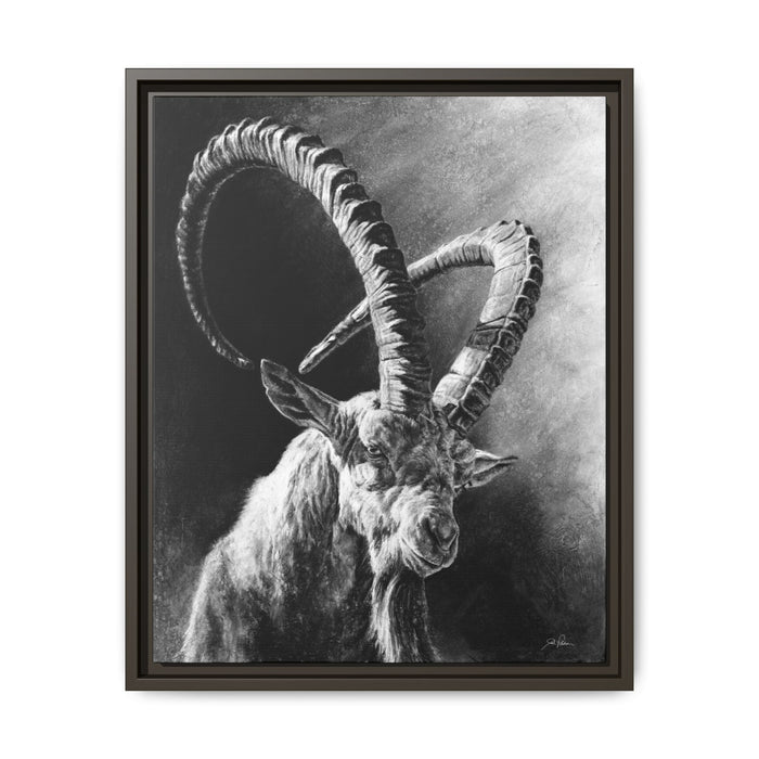 "Ibex" Framed Canvas