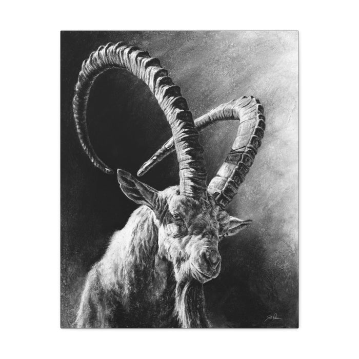 "Ibex" Stretched Canvas